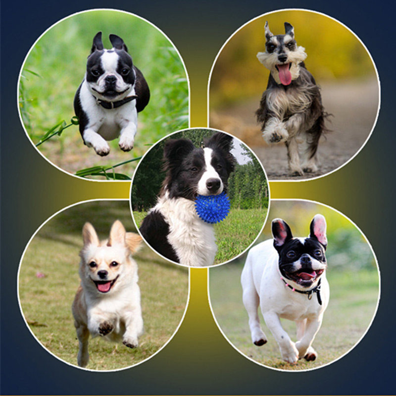 hvordan til at reducere den ødelæggende virkning af hunde