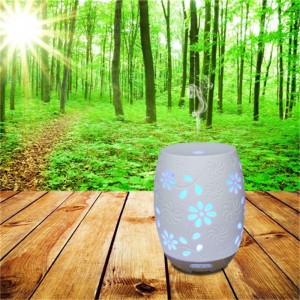 Meget forespørgsel populær unik keramisk aroma olie diffusor befugter