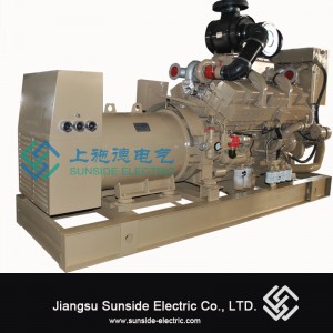 250kVA trefasede Cummins dieselgeneratorer drevet af NT855A motor