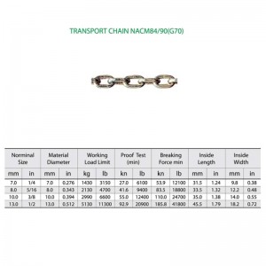 G70 Alloy Steel Transport Chain Nacm-96 YZ