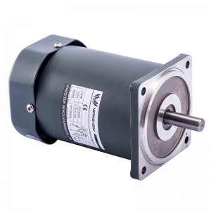 mikro gearmotor