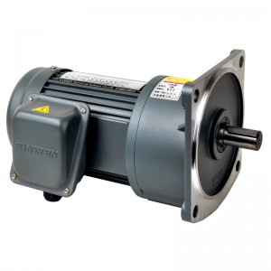 lodret medium gearmotor