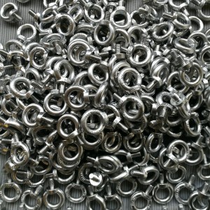 316 Forged DIN580 øjenskrue