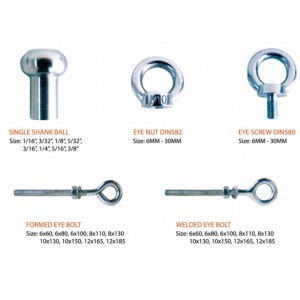 316 Forged DIN582 Ringmøtrik