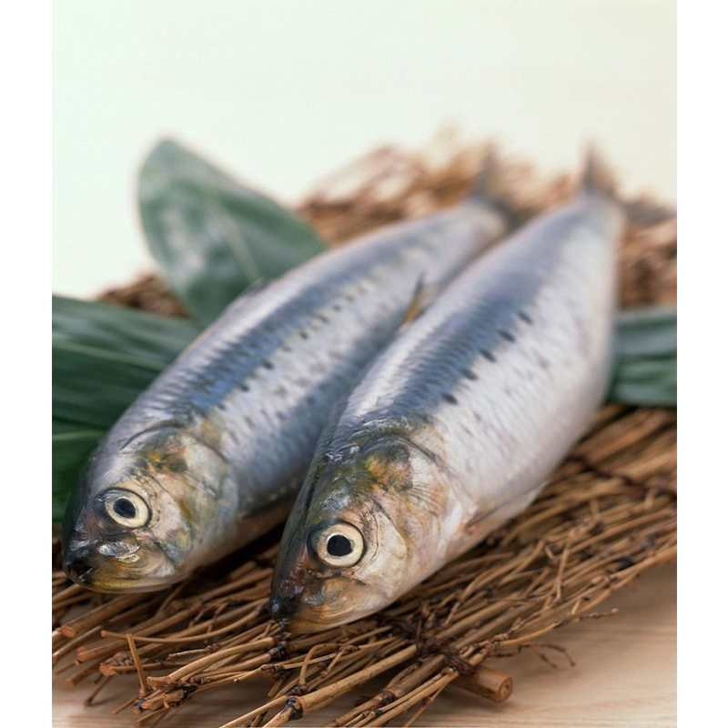 Frosset sardine