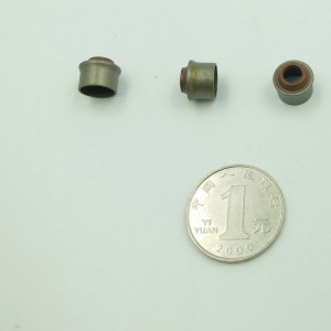 Kina fabrik FKM gummi ventil stempelforsegling ruber olie tætning til motorcykel