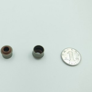 Kina fabrik FKM gummi ventil stempelforsegling ruber olie tætning til motorcykel