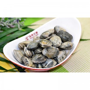 FRYSEN SHELL-ON CLAM