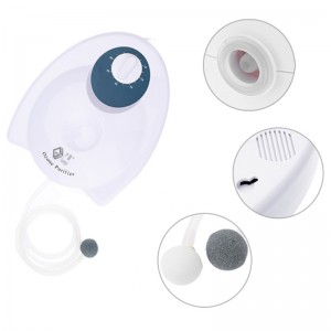 Bærbar nedbrydning Pesticidvandsterilisering Ozongenerator til rengøring af grøntsager og frugter