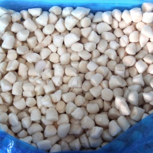 Frozen Bay kammuslinger kød