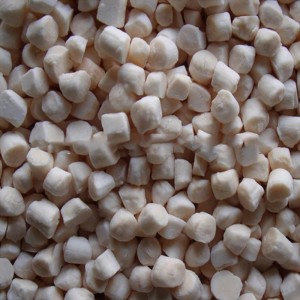 Frosset kammusling af kammuslinger