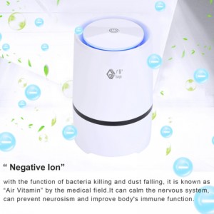 Luftrenser Home Depot og Lonizer Aroma Diffuser