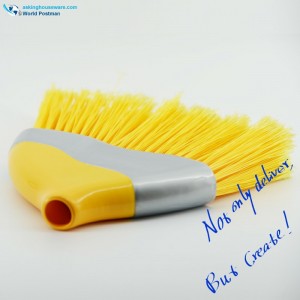 Akbrand plastisk kvasthoved med trekantbørsteplade og lange acclivitøse børster