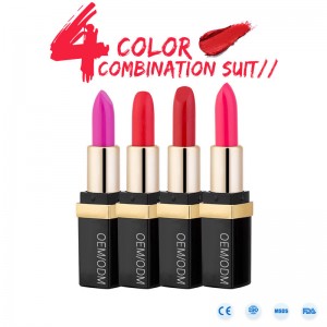 Privat mærke, vandtæt mat, langvarig læbestift, i høj kvalitet