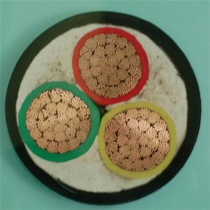 0,6 / 1kv 3 X 6mm2 LV strømkabel Pvc isoleret Cu fast / strandet leder