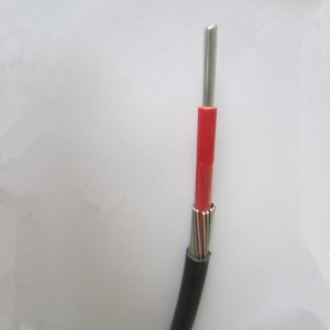Lavspændings koncentrisk enkeltkernet strømkabel Pvc / Xlpe isolering
