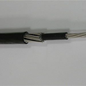 Lavspændings koncentrisk enkeltkernet strømkabel Pvc / Xlpe isolering