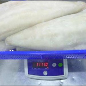 Frosne lettsaltede atlantiske seefileter