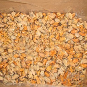 Frosset kogt muslingekød