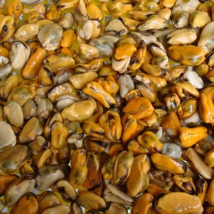 Frosset kogt muslingekød