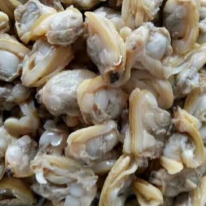 Frosset kogt muslingekød