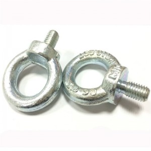 AISI316 eller AISI304 rustfrit stål DIN580 øjenskrue