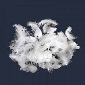 Natural Duck, Goose Down Feather Material