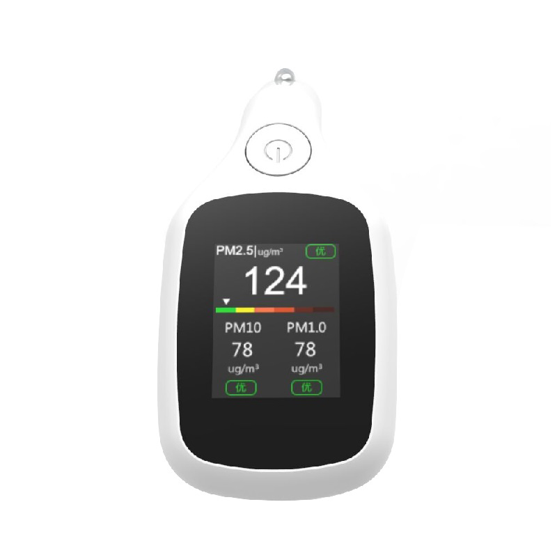 Dienmern Hot Sale PM2.5 Auto-køretøj Luftkvalitetsdetektor PM1.0 Indoor Air Quality Monitor PM10