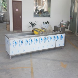 Ozon Desinfektion Vegetabilsk vaskemaskine (med enhed til fjernelse af urenhed)