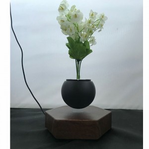 træmagnetisk opheftende flydende luft bonsai potteplanter PA-0720