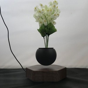 træmagnetisk opheftende flydende luft bonsai potteplanter PA-0720