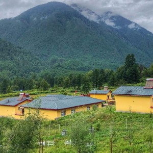 ASA syntetisk harpiksflise, trapezformet glaseret flise