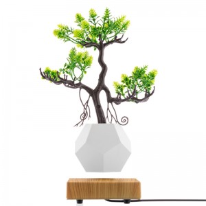 ny træbase magnetisk levitation bund flyte luft bonsai pot planter