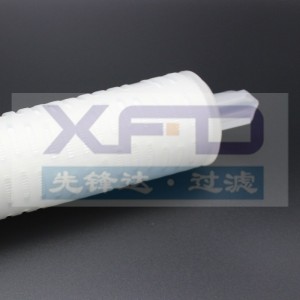 Plisseret filterpatron --- RFG