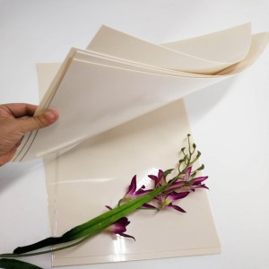 Høj kvalitet 0,5 mm abrikosfarve stift PET-plast polyesterplade til møbler