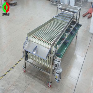 FJ-3000 frugt sorteringsmiddel