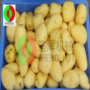 Ny type QX-608 Fruit Peeling Machine / Fruit cleaning and Peeling Machine / Fruit Brush Cleaning and Peeling Machine