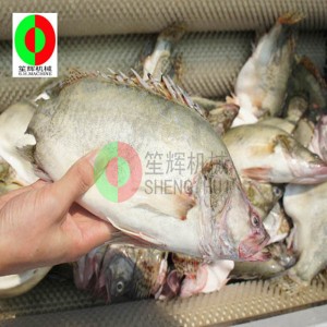 Melonfrugtrensemaskine / melonfrugtrensningsskrælningsmaskine / melonfrugtbørsterensningsskrælningsmaskine QX-612 ny