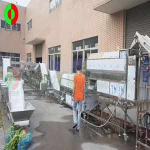 Stor vegetabilsk og frugt skrælning og skæring produktionslinje