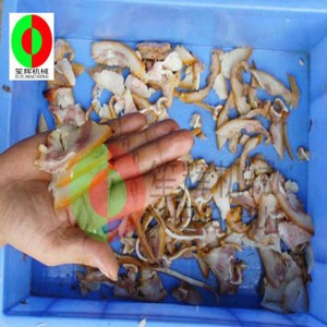 Automatisk kødskiver / multifunktionskødskive / mellemstor desktop kødskiver QH-500