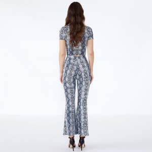 Leopard Print Bodycon Shorts Trendy sæt i to stykker, dametøj