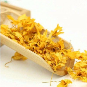 Caulis dendrobii blomster