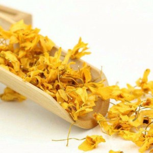 Caulis dendrobii blomster