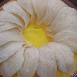 Fugl rede til næring