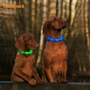 Salgsfremmende farverig usb genopladelig blinkende silikone led hundekrage fjernbetjening vandtæt kedel krave og snor