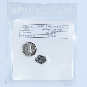 2019 tilpasset mikromagnet til urmotor