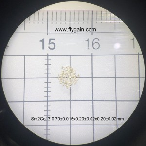 Brugerdefineret fremragende, sjælden jord permanent mikro-smco-magnet