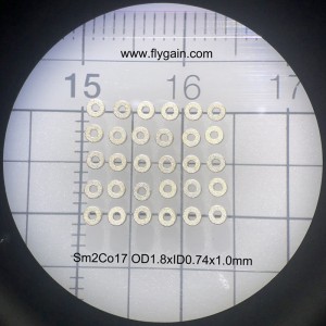 Kina Producent Micro Precision Lille magnet til motor