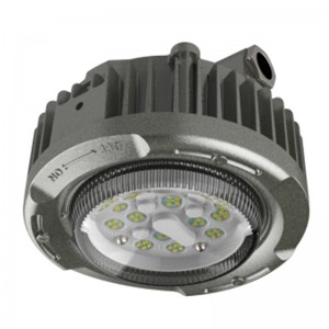 Atex Explosion Project Luminaire