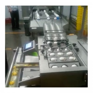 WXD96 Egg Washing and Drying and Breaking Machine